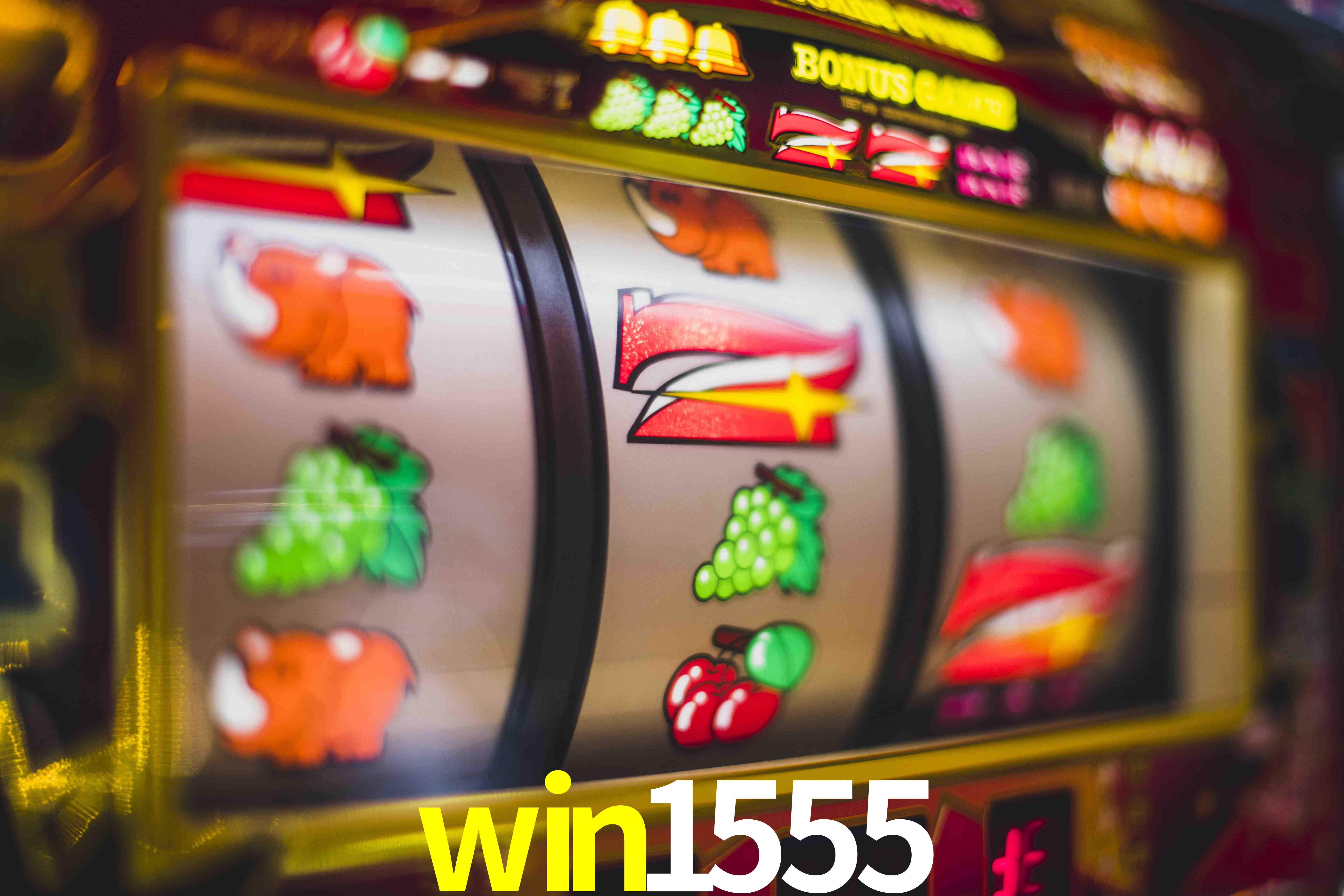 Statistics win1555