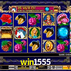 win1555 Rio de Janeiro - Bonus Terms