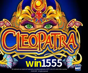 win1555 Curitiba - Live Status